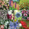 Everlasting Perennial Collection -Cheap Tree Foliage Store 10part