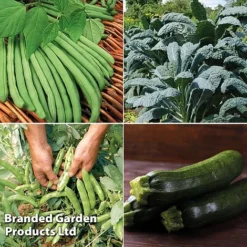 Allotment Seed Collection -Cheap Tree Foliage Store ALLO KC9289 C