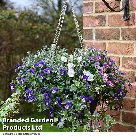 Splash Of Colour Collection 3 Splash Of Colour Collection