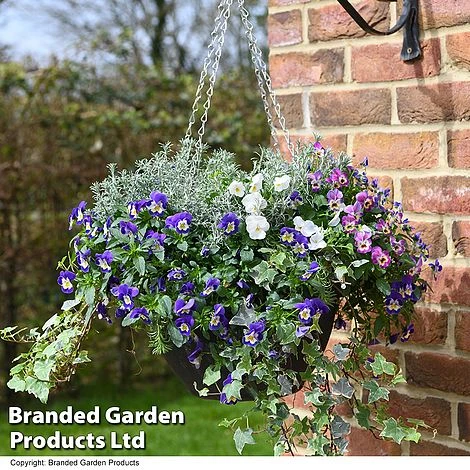 Splash Of Colour Collection 4 Splash Of Colour Collection - Image 2