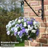 Viola 'Ocean Blues Collection' -Cheap Tree Foliage Store BASK PREPLVIOL T49365