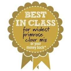 Primrose 'Alaska Improved Mixed' -Cheap Tree Foliage Store BIC WIDESTPRIMROSEMIX B h