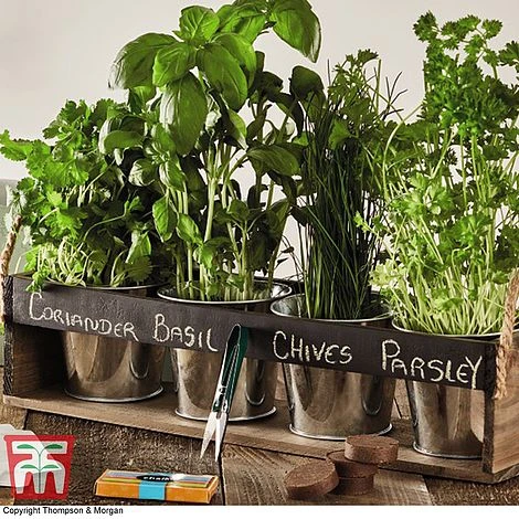 Chalk Board Herb Garden Gift Set - Gift 4 Chalk Board Herb Garden Gift Set - Gift - Image 2