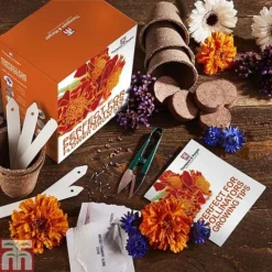 Pollinator Flowers Growing Kit