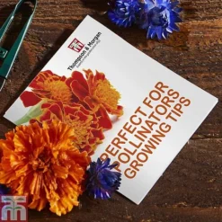 Pollinator Flowers Growing Kit -Cheap Tree Foliage Store PERF TKA1544A C