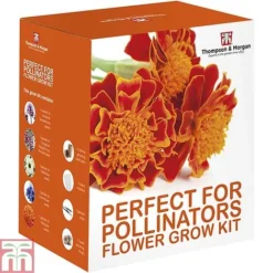 Pollinator Flowers Growing Kit -Cheap Tree Foliage Store PERF TKA1544A D