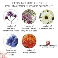 Pollinator Flowers Growing Kit -Cheap Tree Foliage Store POLL TKA1544 E