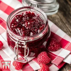 Raspberry 'Little Sweet Sister' -Cheap Tree Foliage Store RASP RECIPE CUL