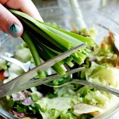 Allium 'Quattro' -Cheap Tree Foliage Store VEALL35203