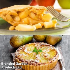 Fruit Tree Staple Duo -Cheap Tree Foliage Store appe