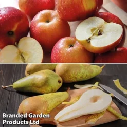 Fruit Tree Staple Duo -Cheap Tree Foliage Store appe2