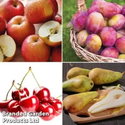 Mini Orchard Collection -Cheap Tree Foliage Store fruit4