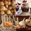 Grow Your Own Onion & Garlic Collection -Cheap Tree Foliage Store onion2