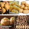 Potato Blight Tolerant Collection 2 Potato Blight Tolerant Collection -Cheap Tree Foliage Store potato blight1