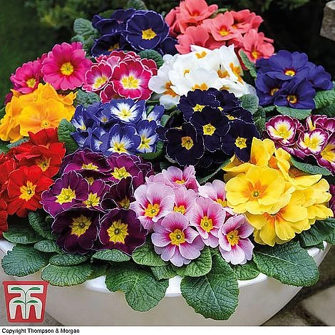 Ultimate Winter Bedding Collection 4 Ultimate Winter Bedding Collection - Image 2