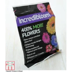 Clematis 'New Love' -Cheap Tree Foliage Store z INCR T47963 E h3